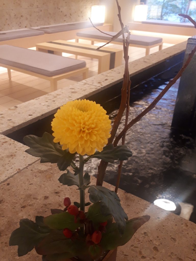 お花のご紹介 ピンポン菊 ウォーターマークホテル京都 公式