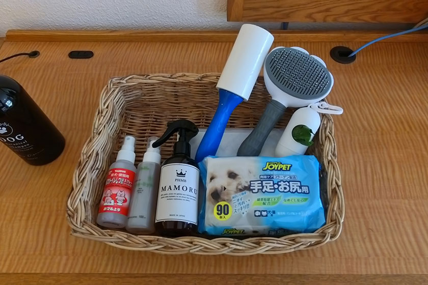 DOG