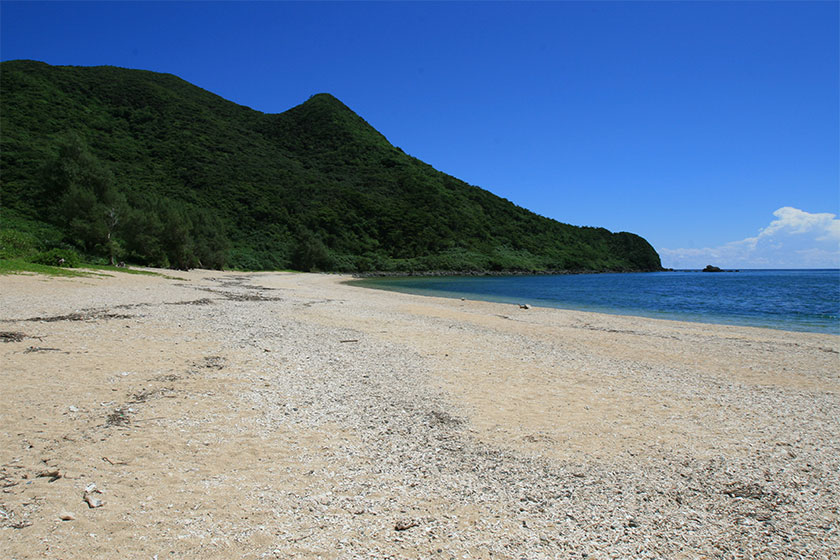 アーラ浜